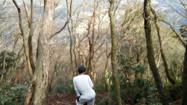 f:id:kifune23:20151227164149j:image f:id:kifune23:20151227164149j:image
