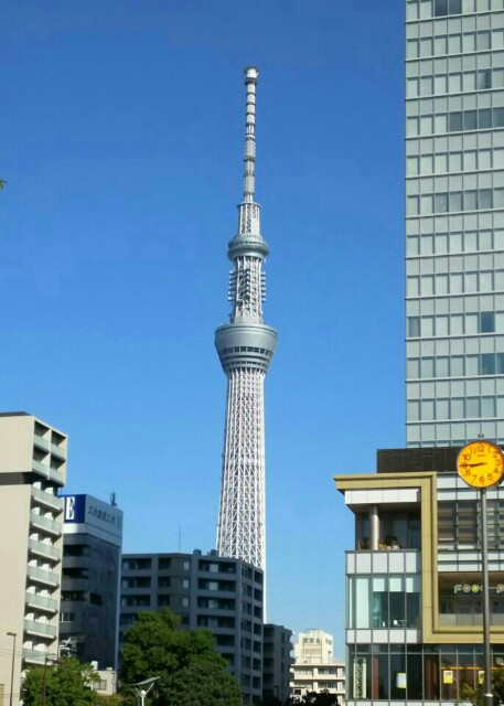 f:id:kiha-gojusan-hyakusan:20160319021551j:image f:id:kiha-gojusan-hyakusan:20160319021551j:image