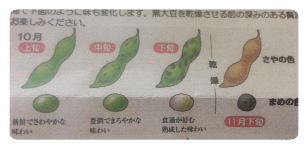 f:id:kiironchan:20141027074207j:plain f:id:kiironchan:20141027074207j:plain