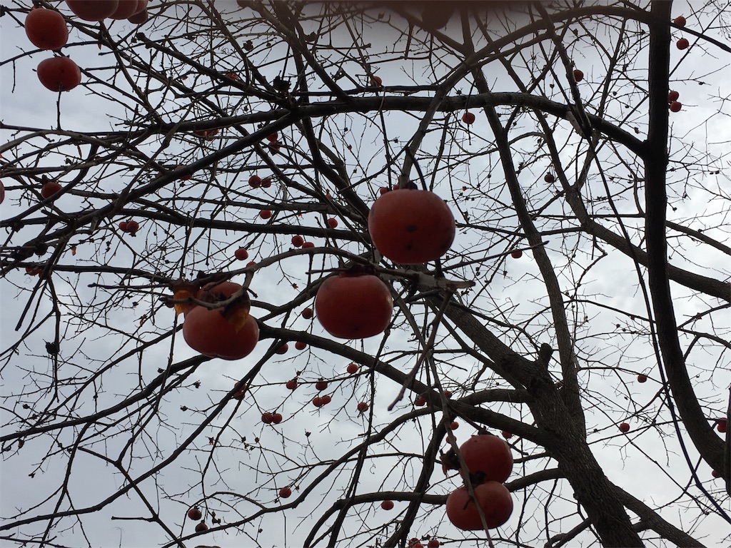 f:id:kikigaki:20151211012938j:image f:id:kikigaki:20151211012938j:image
