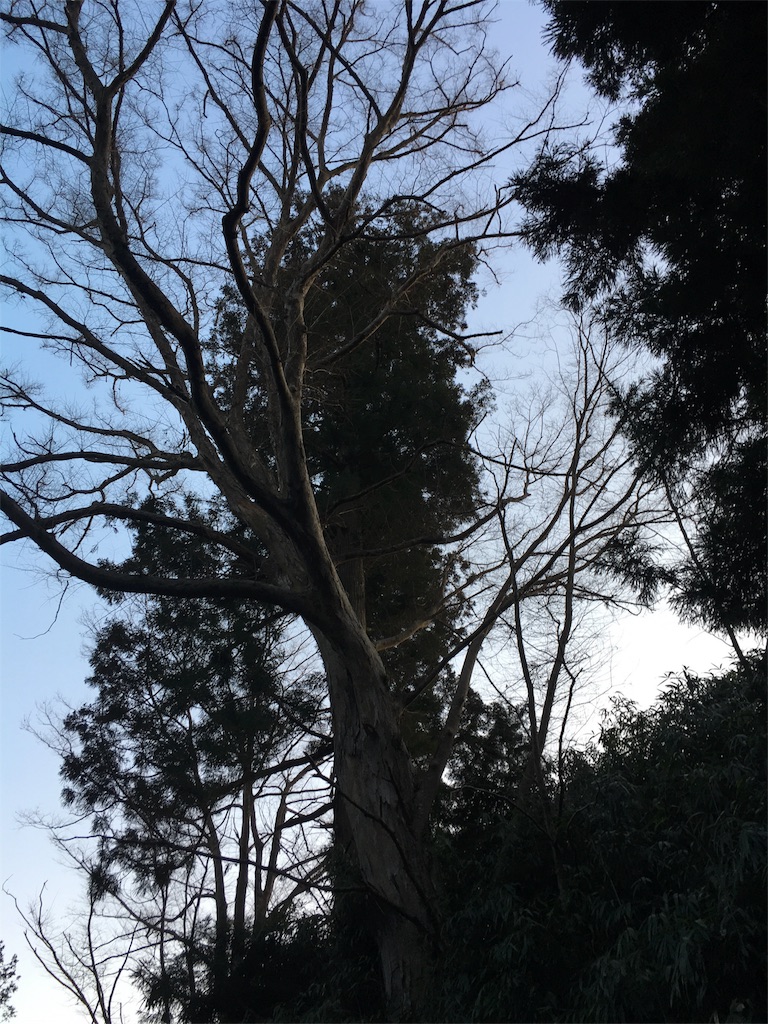 f:id:kikigaki:20160102052442j:image f:id:kikigaki:20160102052442j:image