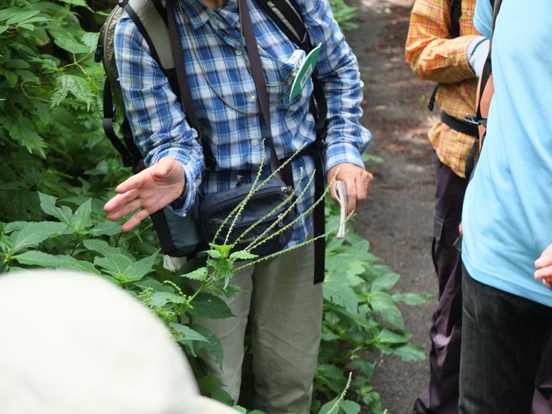 f:id:kikohshi586:20120813214241j:image:w640 f:id:kikohshi586:20120813214241j:image:w640