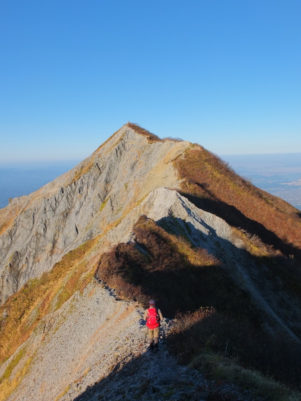 f:id:kikohshi586:20141025075403j:image:w640 f:id:kikohshi586:20141025075403j:image:w640
