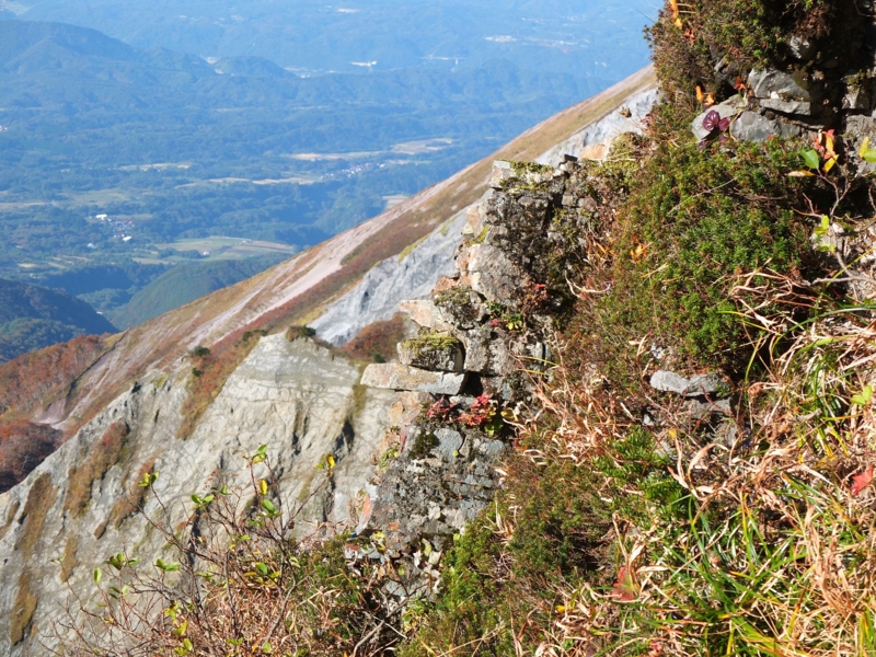 f:id:kikohshi586:20141025091009j:image:w640 f:id:kikohshi586:20141025091009j:image:w640