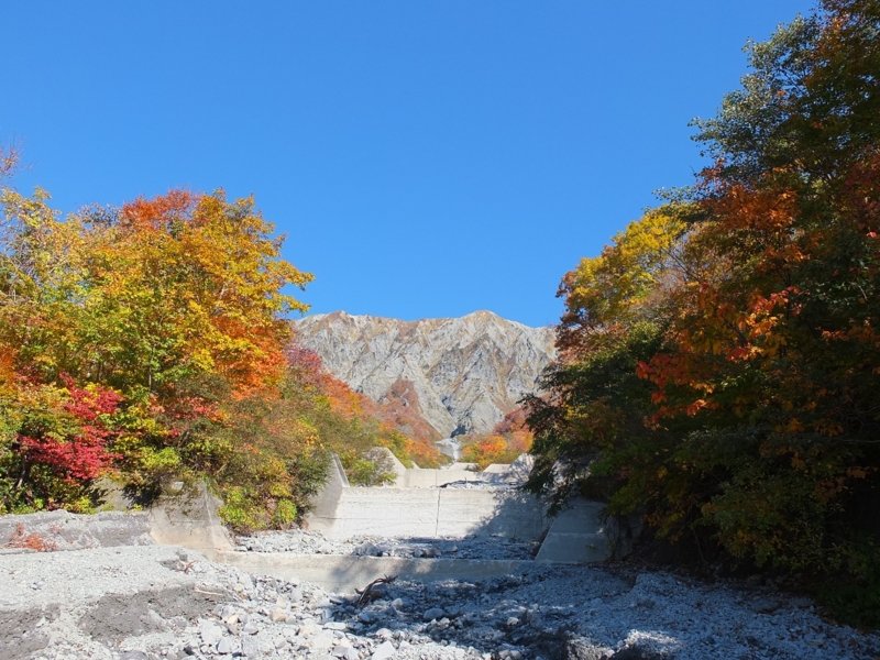f:id:kikohshi586:20141025101508j:image:w640 f:id:kikohshi586:20141025101508j:image:w640