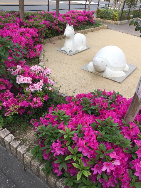 f:id:killlie:20150430053508j:image f:id:killlie:20150430053508j:image