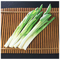 f:id:kimamalist:20160312190440p:plain f:id:kimamalist:20160312190440p:plain