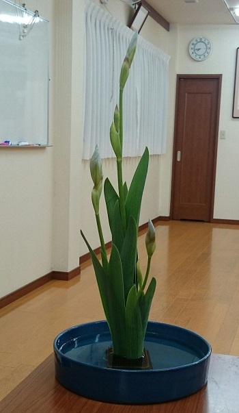f:id:kimonohajimekaeru:20150416221551j:plain f:id:kimonohajimekaeru:20150416221551j:plain