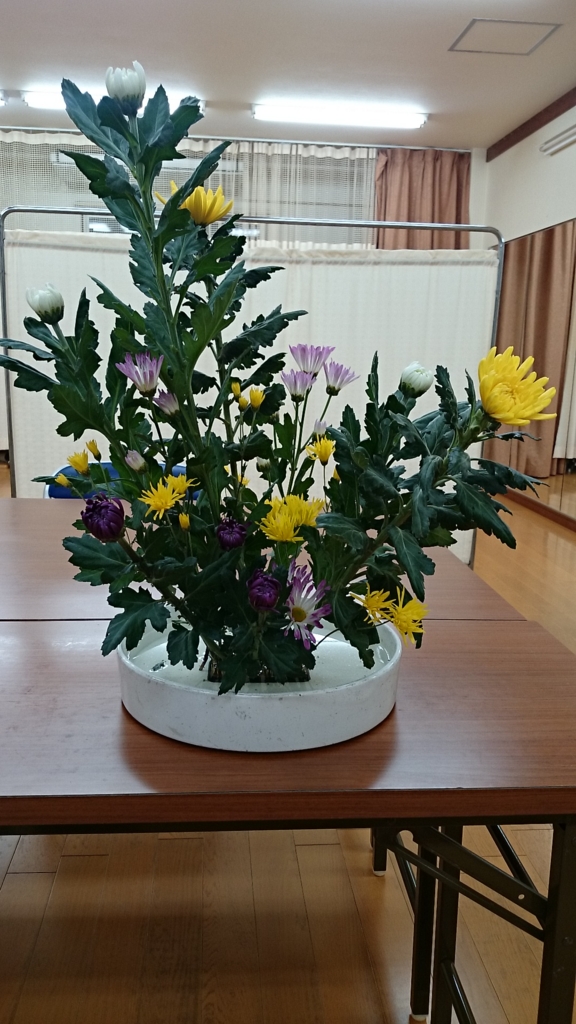 f:id:kimonohajimekaeru:20151125235845j:plain f:id:kimonohajimekaeru:20151125235845j:plain