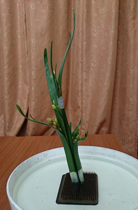 f:id:kimonohajimekaeru:20151204232112j:plain f:id:kimonohajimekaeru:20151204232112j:plain