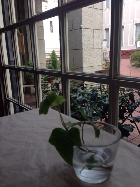 f:id:kinacocat:20130417123848j:plain f:id:kinacocat:20130417123848j:plain