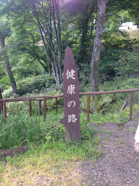 f:id:kinacocat:20130822230112j:plain f:id:kinacocat:20130822230112j:plain