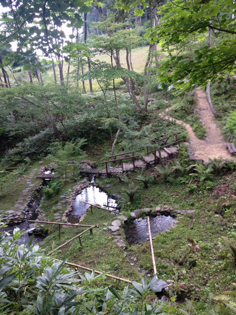 f:id:kinacocat:20130822230153j:plain f:id:kinacocat:20130822230153j:plain