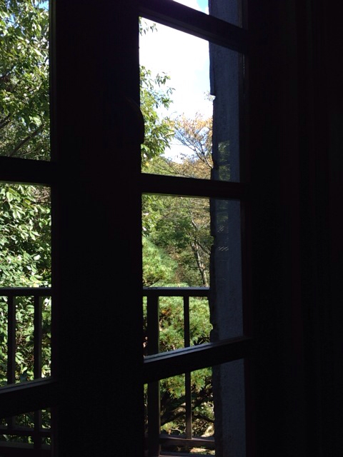 f:id:kinacocat:20131031140502j:plain f:id:kinacocat:20131031140502j:plain