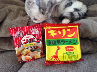 f:id:kinacocat:20140113225328j:plain f:id:kinacocat:20140113225328j:plain