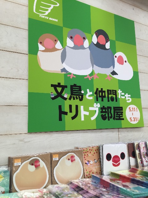 f:id:kinako-nejiri:20150511203702j:image f:id:kinako-nejiri:20150511203702j:image