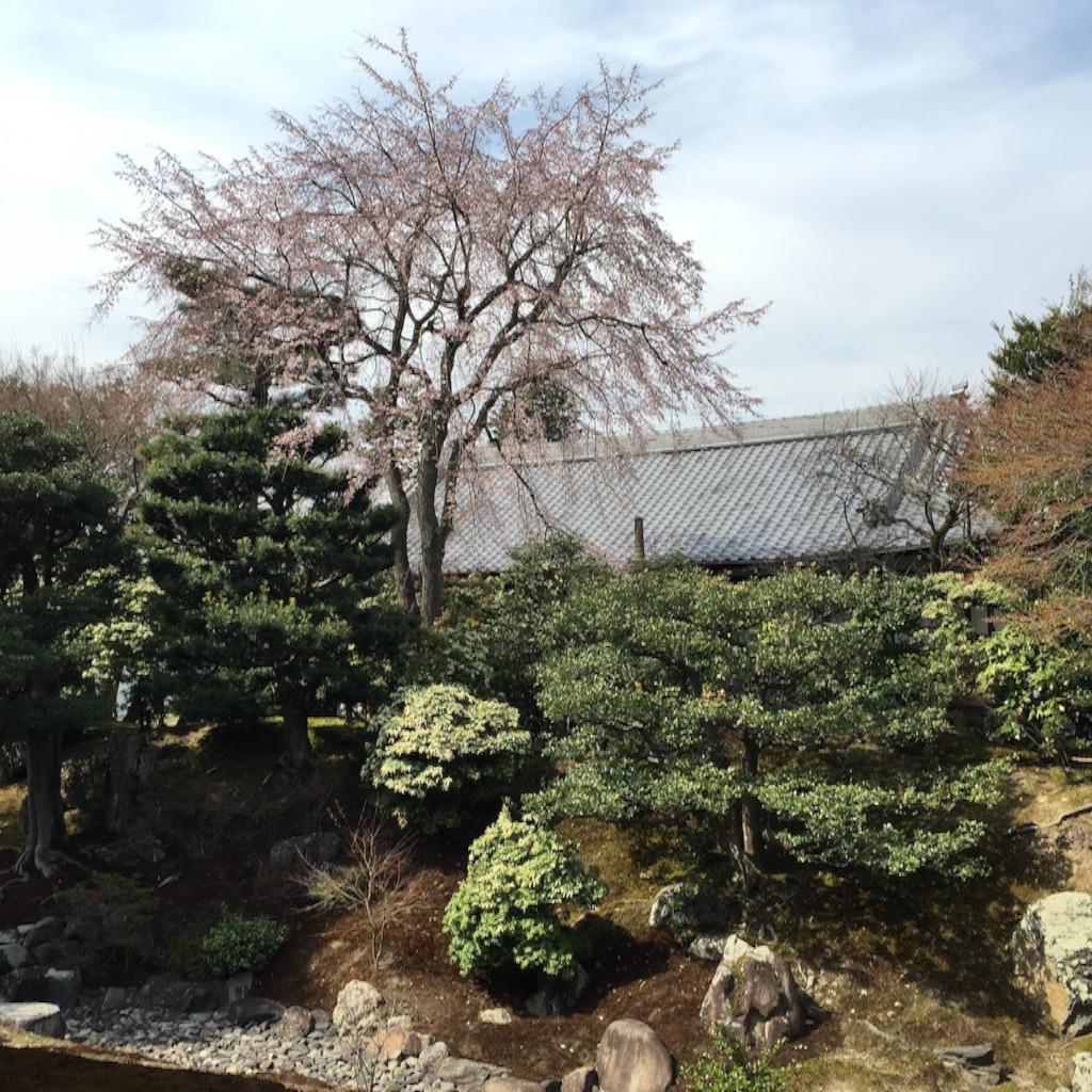 f:id:kinako-nejiri:20160330115005j:image f:id:kinako-nejiri:20160330115005j:image