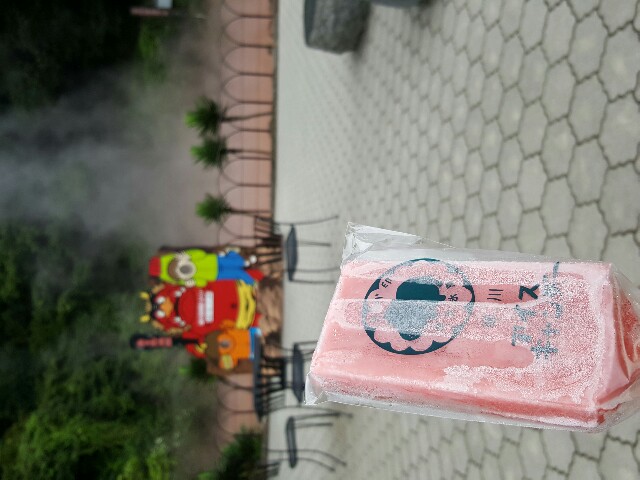 f:id:kinako_yuta:20160725193530j:image f:id:kinako_yuta:20160725193530j:image