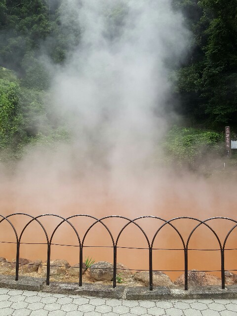 f:id:kinako_yuta:20160726081228j:image f:id:kinako_yuta:20160726081228j:image
