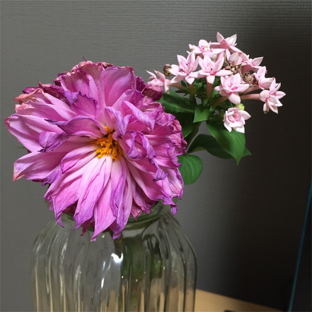 f:id:kinandun:20151023172605j:image f:id:kinandun:20151023172605j:image