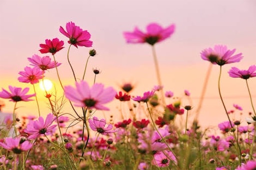 f:id:kinandun:20151109204929j:image f:id:kinandun:20151109204929j:image