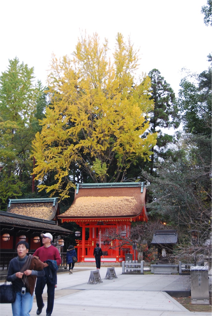 f:id:kinandun:20151124000306j:image f:id:kinandun:20151124000306j:image
