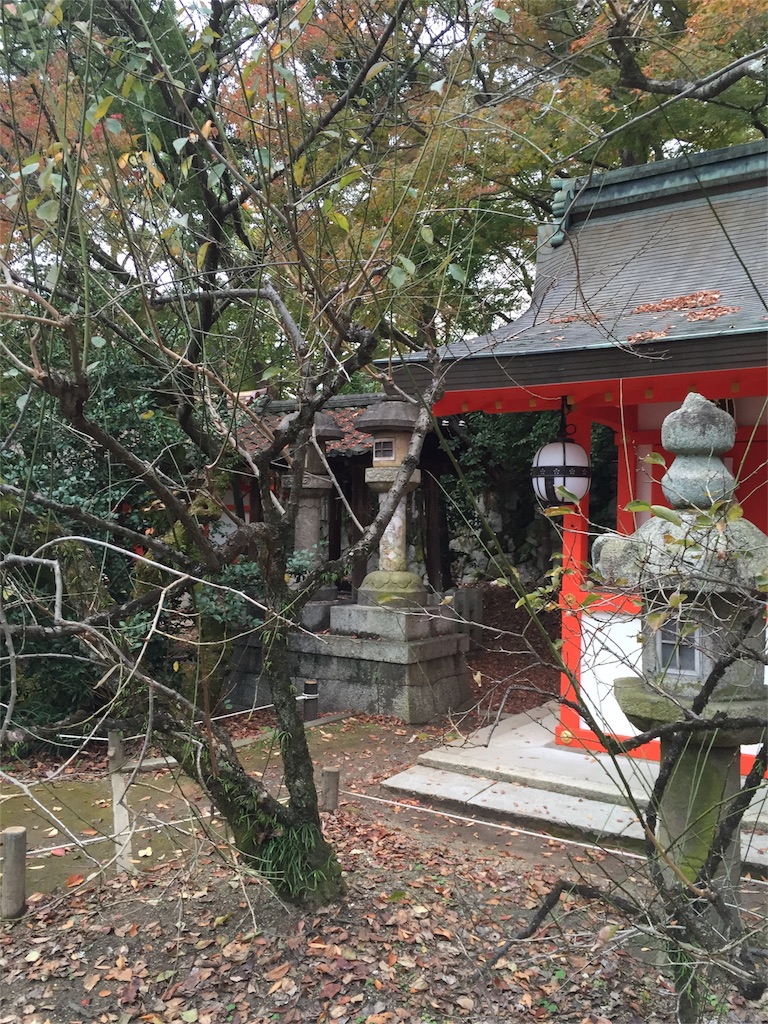 f:id:kinandun:20151124000452j:image f:id:kinandun:20151124000452j:image