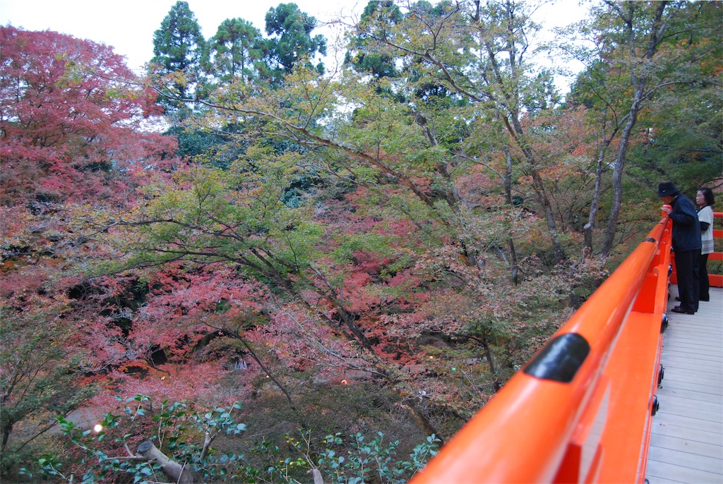 f:id:kinandun:20151124001235j:image f:id:kinandun:20151124001235j:image
