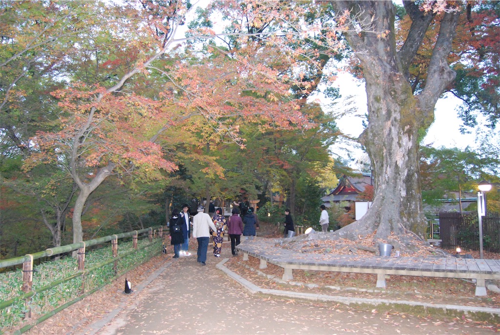 f:id:kinandun:20151124001333j:image f:id:kinandun:20151124001333j:image
