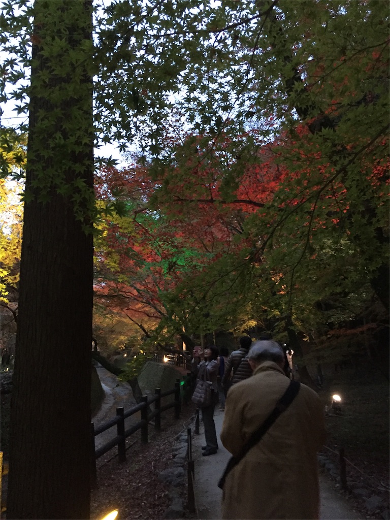 f:id:kinandun:20151124001844j:image f:id:kinandun:20151124001844j:image