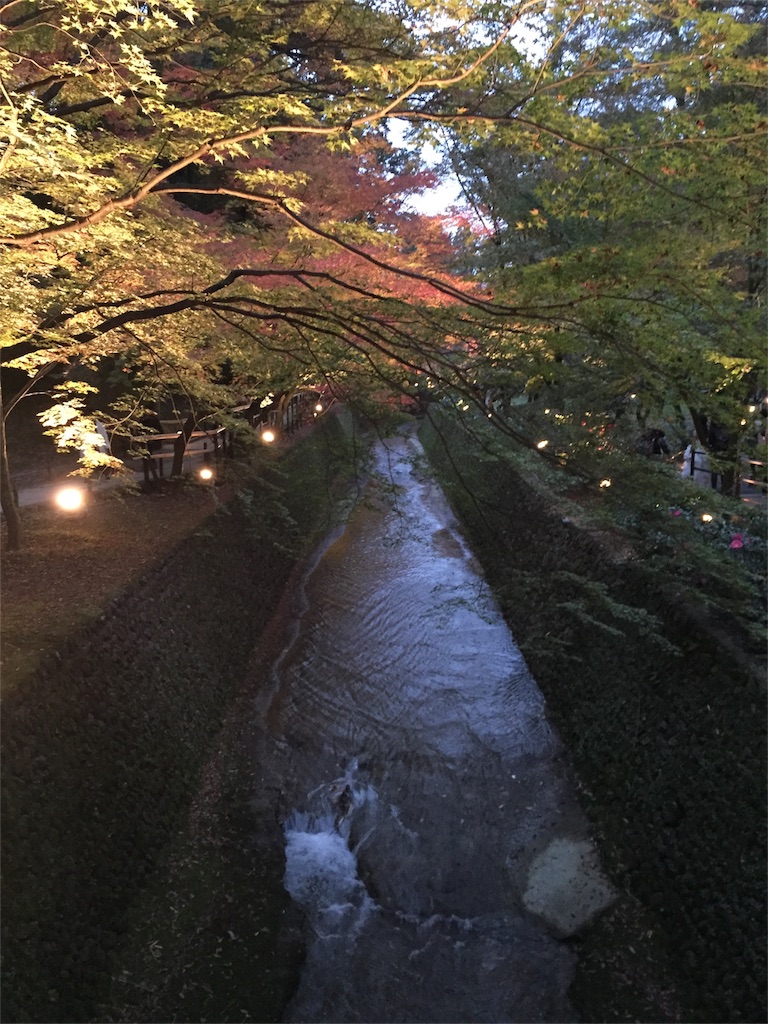 f:id:kinandun:20151124001922j:image f:id:kinandun:20151124001922j:image