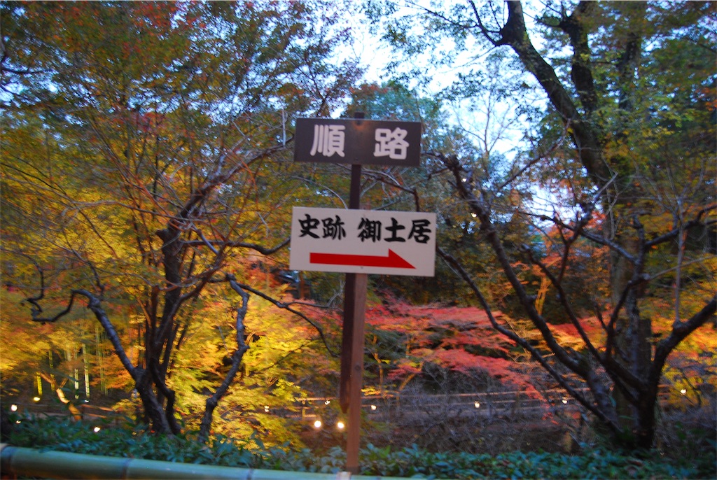f:id:kinandun:20151124002619j:image f:id:kinandun:20151124002619j:image