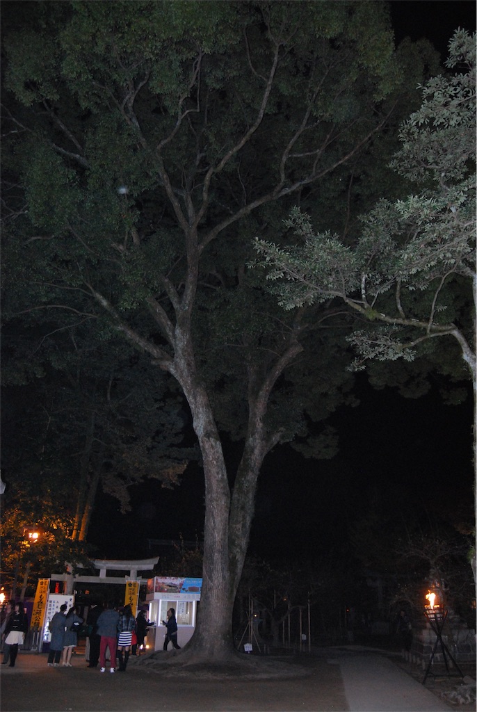 f:id:kinandun:20151124005452j:image f:id:kinandun:20151124005452j:image