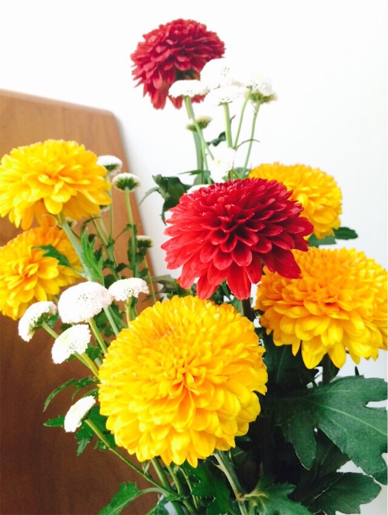 f:id:kinandun:20151201082832j:image f:id:kinandun:20151201082832j:image