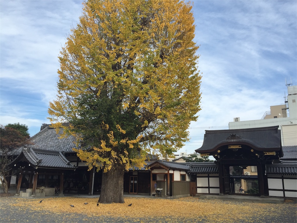 f:id:kinandun:20151203203310j:image f:id:kinandun:20151203203310j:image