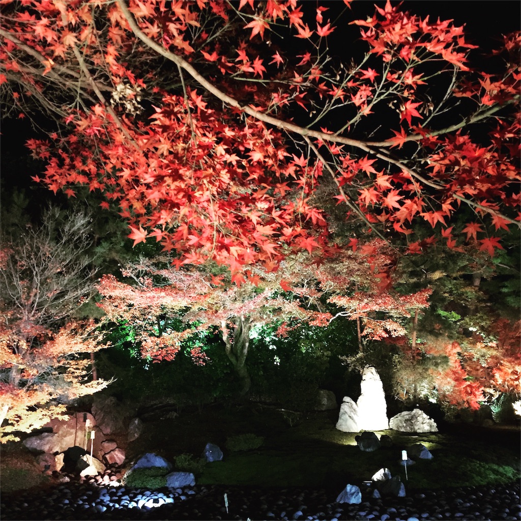 f:id:kinandun:20151205231153j:image f:id:kinandun:20151205231153j:image