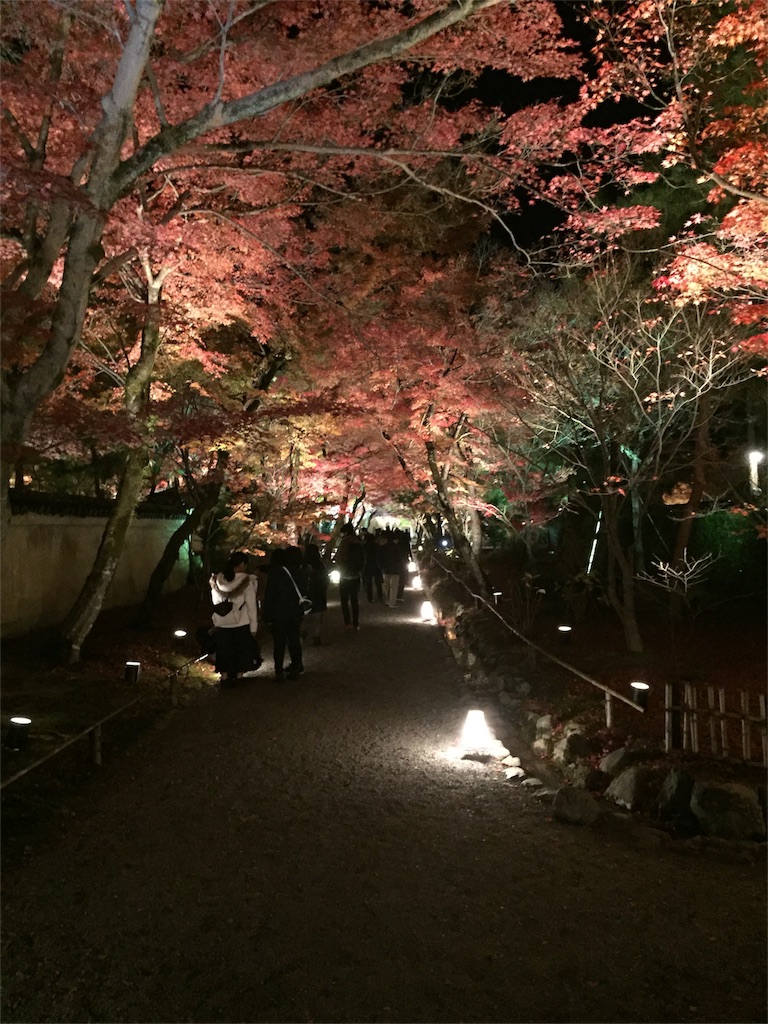 f:id:kinandun:20151205231950j:image f:id:kinandun:20151205231950j:image