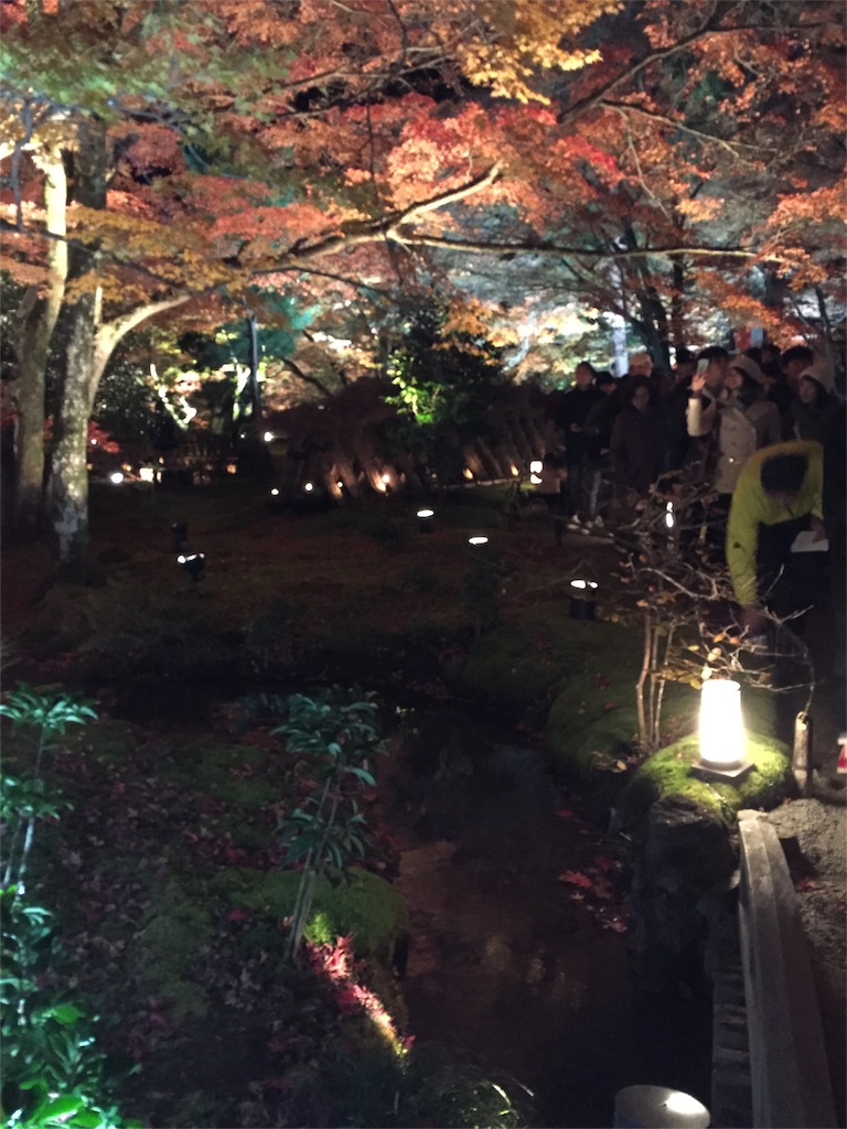 f:id:kinandun:20151205232113j:image f:id:kinandun:20151205232113j:image