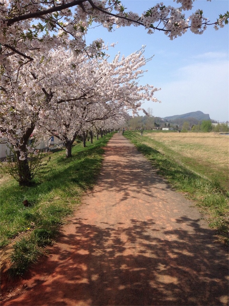 f:id:kinandun:20151207230746j:image f:id:kinandun:20151207230746j:image