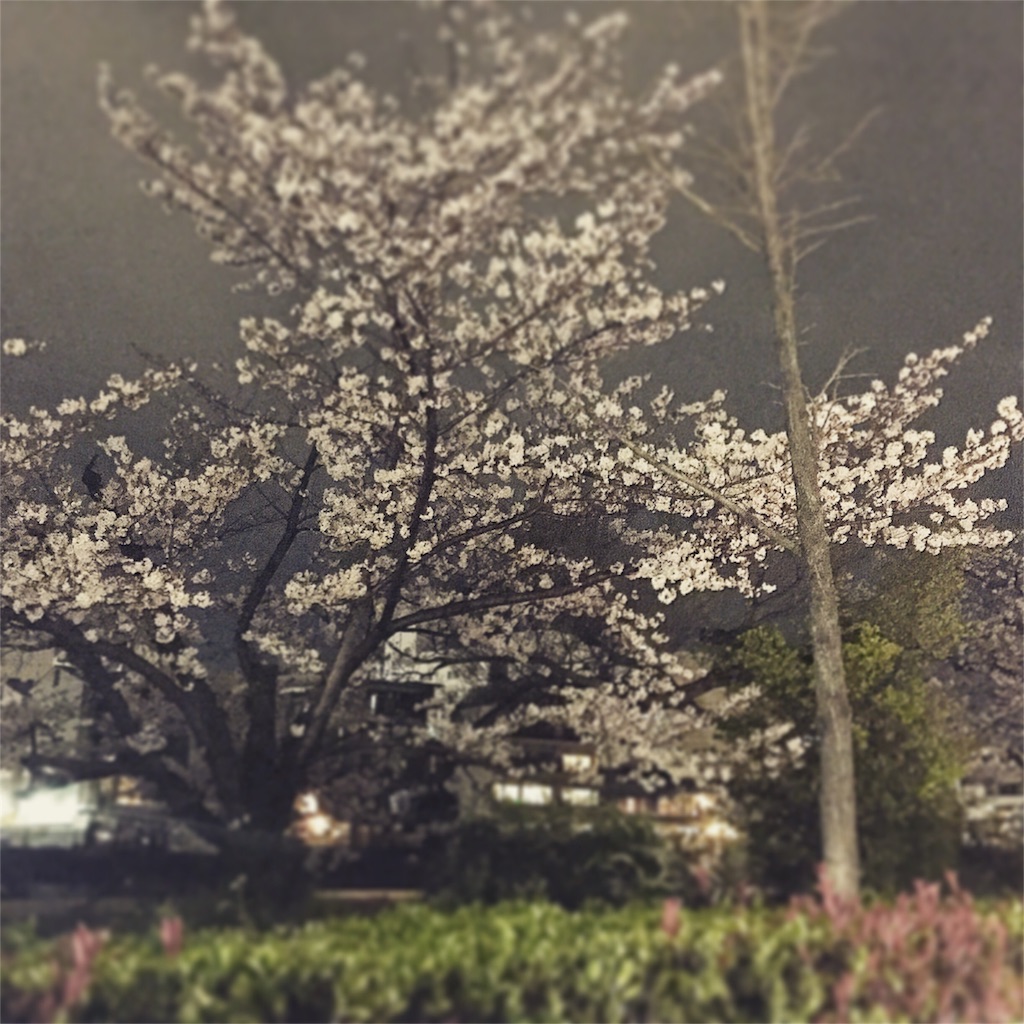f:id:kinandun:20160402205340j:image f:id:kinandun:20160402205340j:image