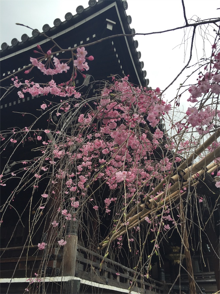 f:id:kinandun:20160405083606j:image f:id:kinandun:20160405083606j:image