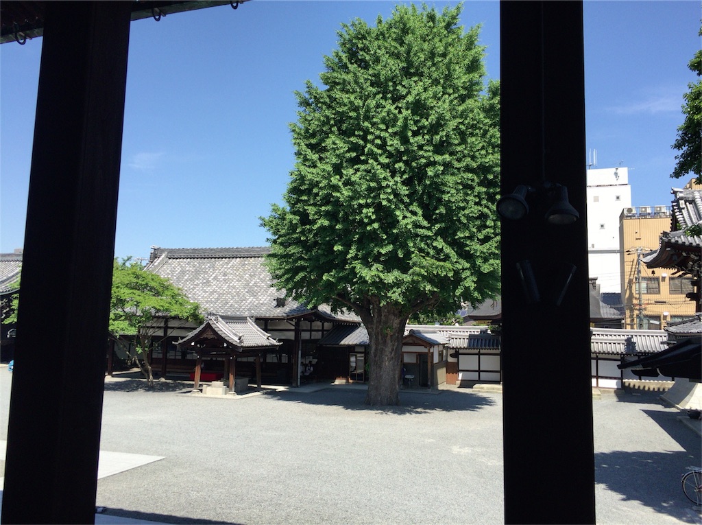 f:id:kinandun:20160518134135j:image f:id:kinandun:20160518134135j:image