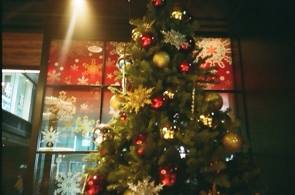 f:id:kinchaaan:20141216204839j:plain f:id:kinchaaan:20141216204839j:plain