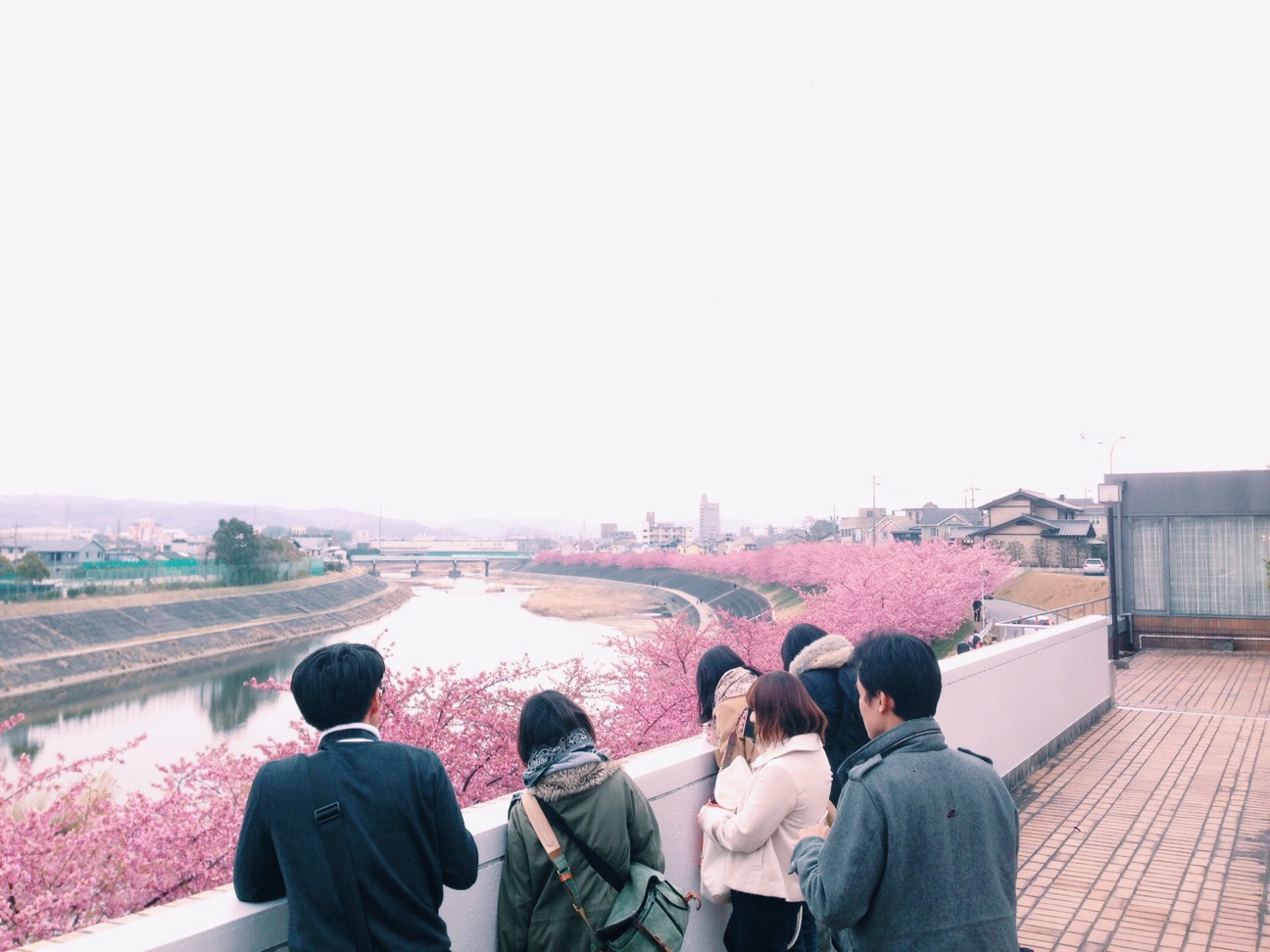 f:id:kinchaaan:20150315222101j:plain f:id:kinchaaan:20150315222101j:plain