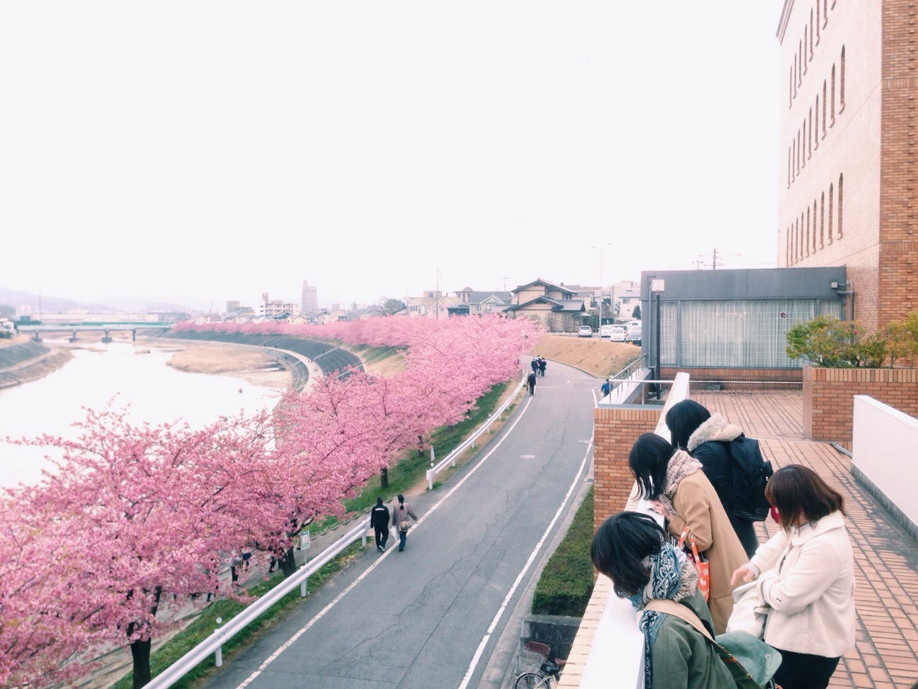 f:id:kinchaaan:20150315222117j:plain f:id:kinchaaan:20150315222117j:plain