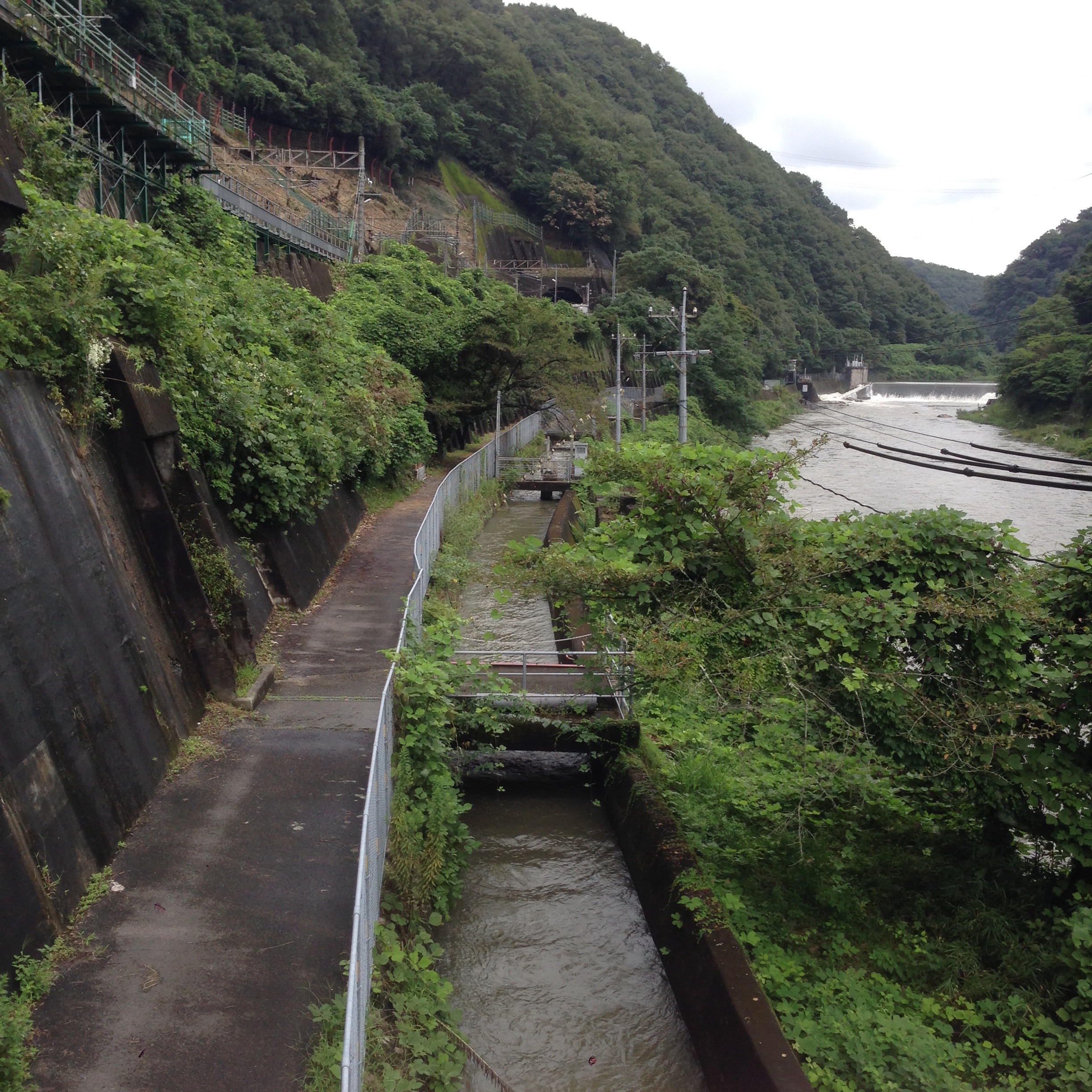 f:id:kinchaaan:20150907234558j:image f:id:kinchaaan:20150907234558j:image