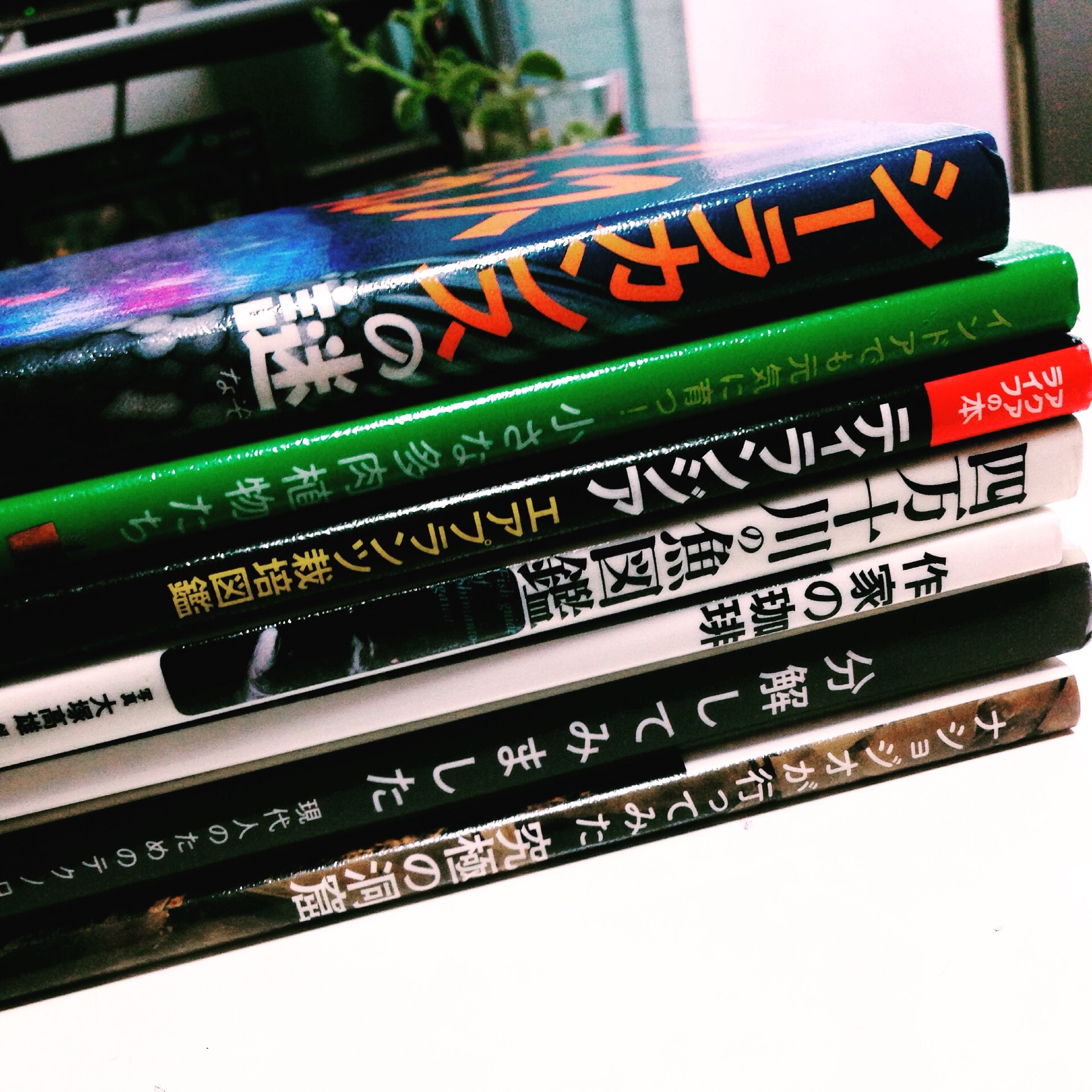 f:id:kinchaaan:20150922200338j:image f:id:kinchaaan:20150922200338j:image