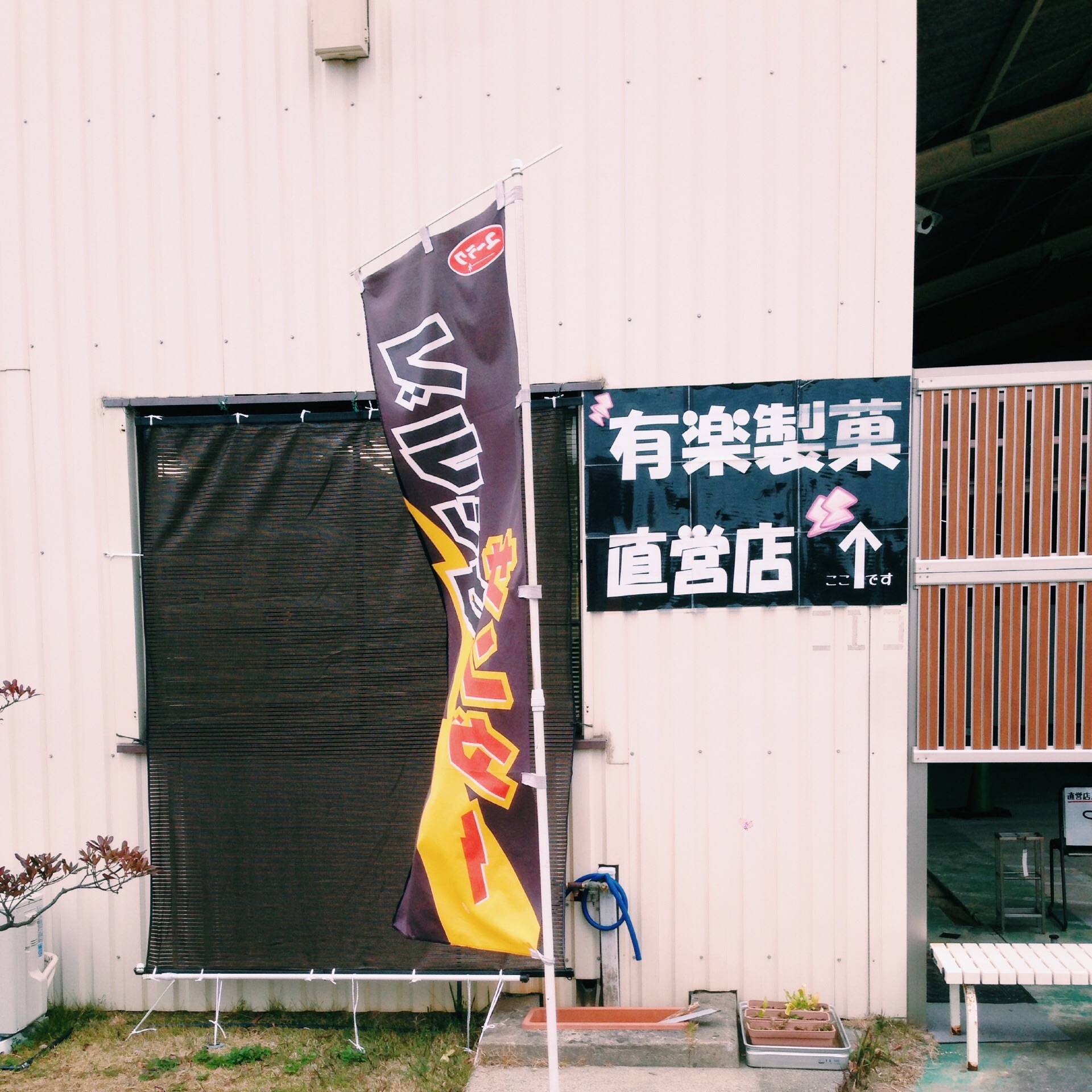 f:id:kinchaaan:20151210165226j:image f:id:kinchaaan:20151210165226j:image