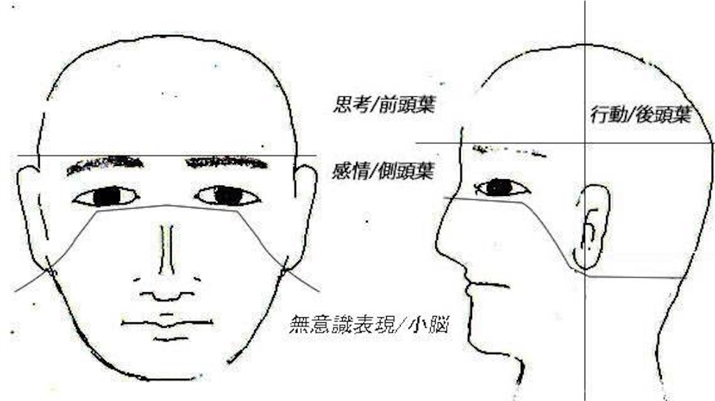 f:id:kinesiologynlpcoach:20160304210331j:image f:id:kinesiologynlpcoach:20160304210331j:image