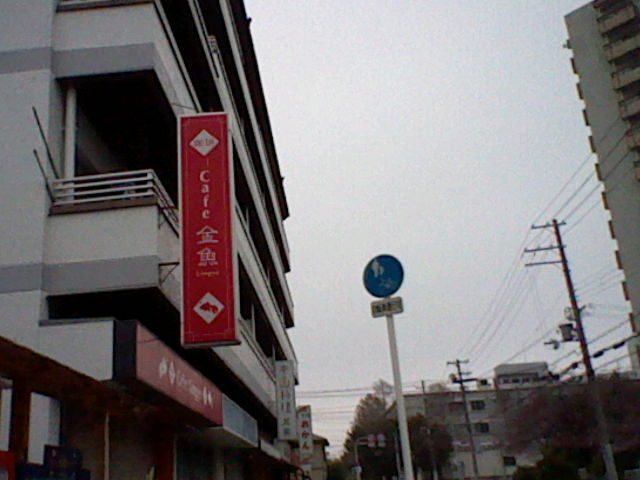 f:id:kingyotoore:20150331151725j:plain f:id:kingyotoore:20150331151725j:plain